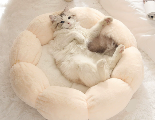Flower Dog Bed