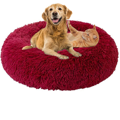 Donut Dog Bed