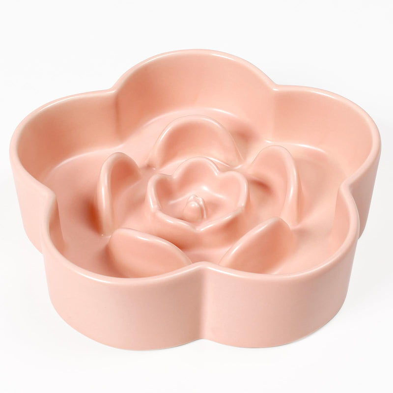 Anti-Choking Dog Bowl